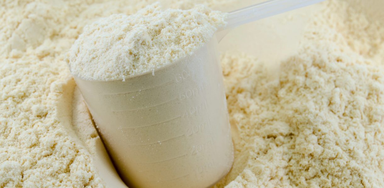 Fat concentrate powder